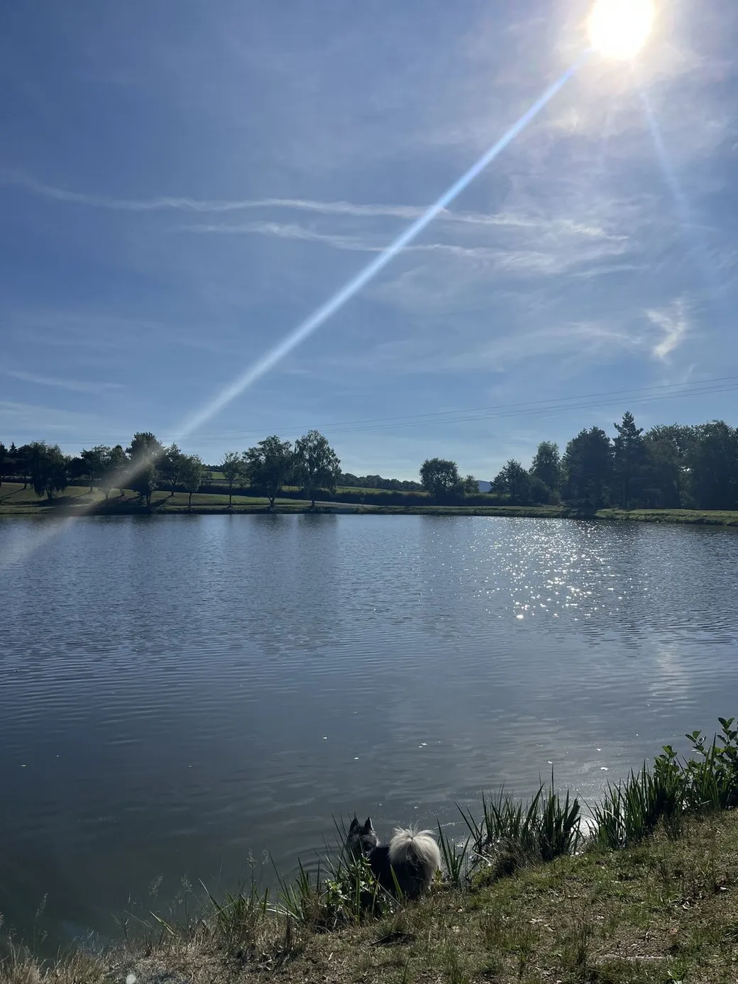 Le lac de Gelles au soleil, les arbres reflétés dans l’eau calme